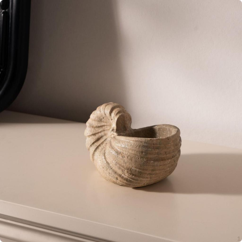 Mineral Conch with Hollow Top Textured Stone Handcrafted Sculpture for Coffee Table, Entryway