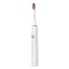 WT-502S Rechargeable Sonic Electric Toothbrush CN Plug (adapter Included)