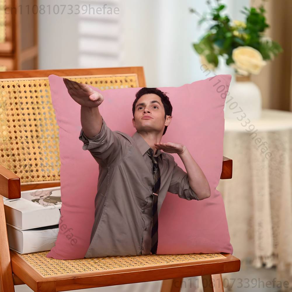 PPenn Badgley Print Polyester Pillow Case for Valentine gift Home Sofa Cushion Cover Decoration Custom
