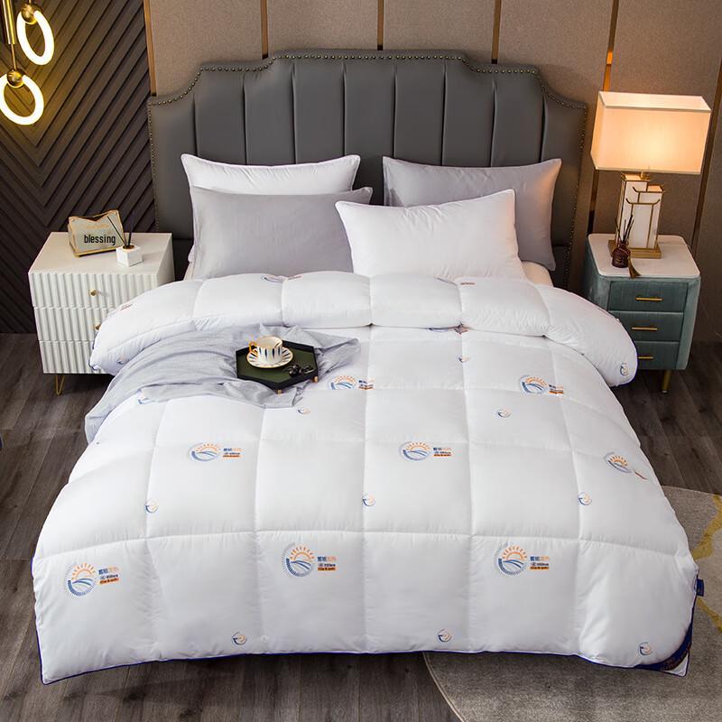 

Popiloni All-Season Polyester Quilt Set with 2 Latex Pillows