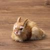 Mini Desktop Furnishings Lifelike Animal Rabbit Model Simulation Plush Toys Easter Rabbits
