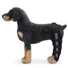 Hundens Bakbensstöd Hundens Höftledsvård Stödskydd Kort Bakbenshasledsstöd För Avslitet Korsband Hund Knäledsstöd Omlott för