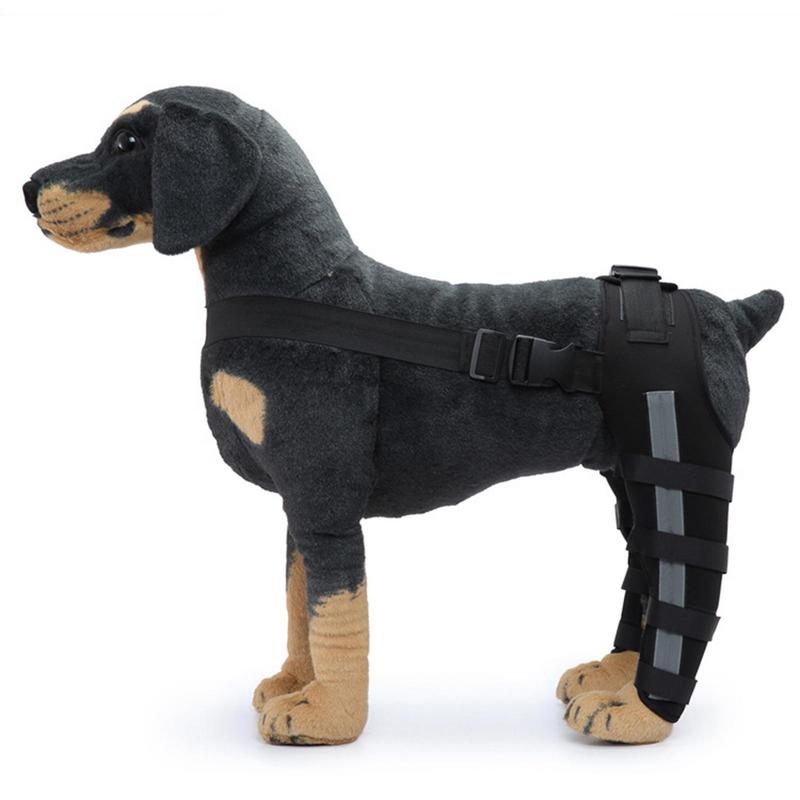 Hundens Bakbensstöd Hundens Höftledsvård Stödskydd Kort Bakbenshasledsstöd För Avslitet Korsband Hund Knäledsstöd Omlott för