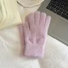 Fashion Winter Mink Velvet Five Finger Gloves Plush Warm Cold-Proof Gloves Women Outdoors Cycling Solid Color Wistiti Mittens