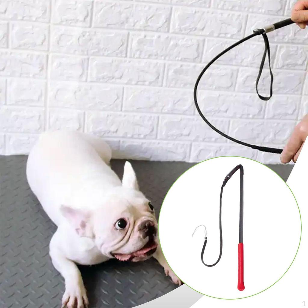 Dog Training: Obedience Training, Exercise, Discipline, Behavior Training with The - Strum