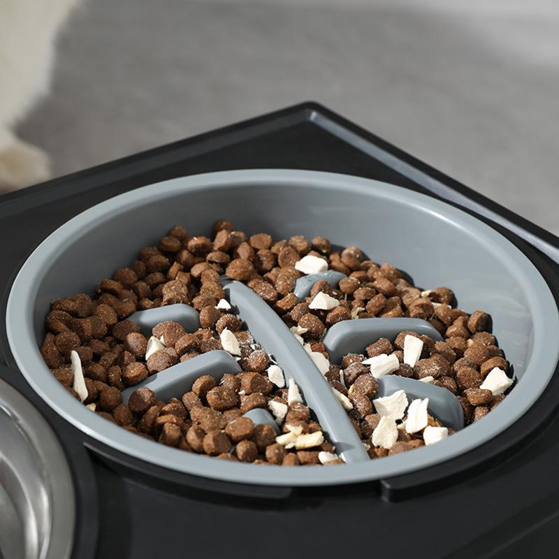 Gamelle double surélevée pour animaux de compagnie: Mangeoire pour chien et chat en acier inoxydable