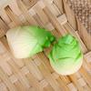 Micro Landscape Creative Simulation Realistic Food Vegetable Doll House Landscaping Diy Decoration Accessories Small Ornaments