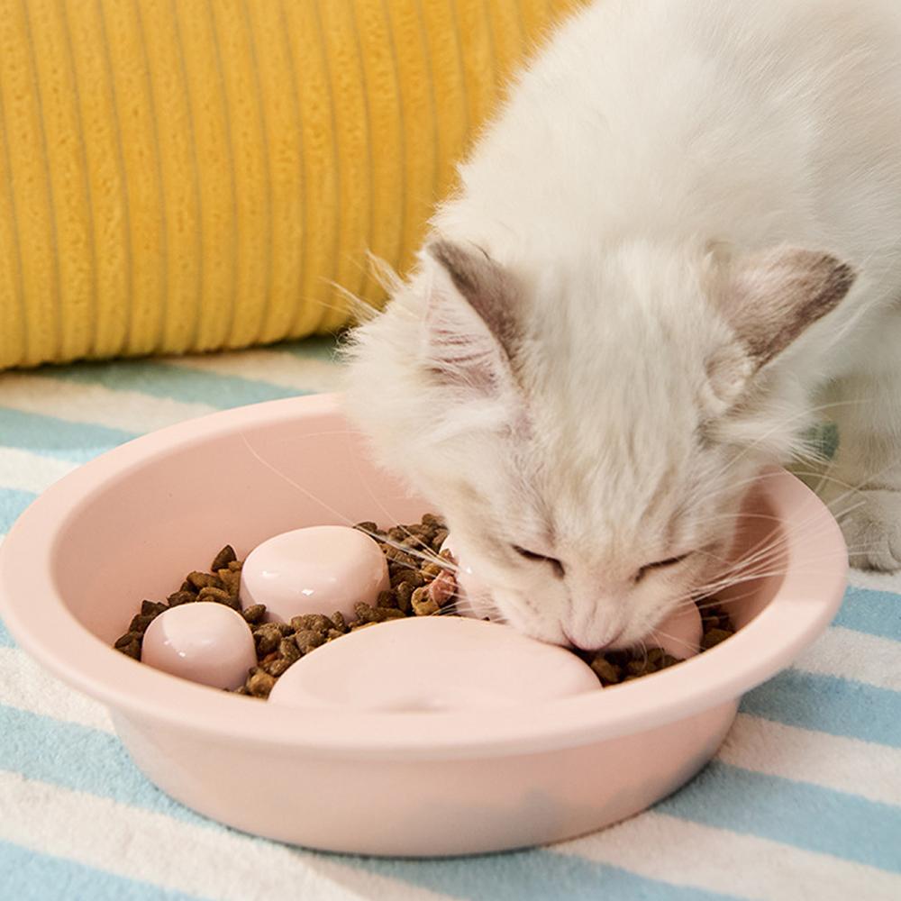Cat Slow Feeder Bowl Set - Pastel Series Cat Plate for Dry and Wet Food - Slow Feeding Bowls Whisker Friendly - Dishwasher Safe