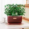Self Watering Flower Pot Plastic Plant Pots Self Watering Planter Pot Vase For Home Decoration