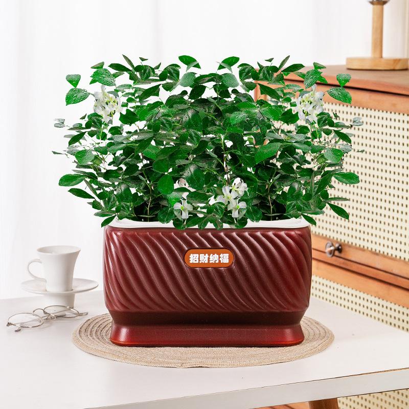 Self Watering Flower Pot Plastic Plant Pots Self Watering Planter Pot Vase For Home Decoration