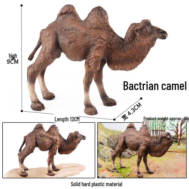 Realistic Children s Camel Toy Model - Single & Double Humped Variants