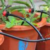 Automatic Drip Irrigation DIY System for Balcony and Potted Plants