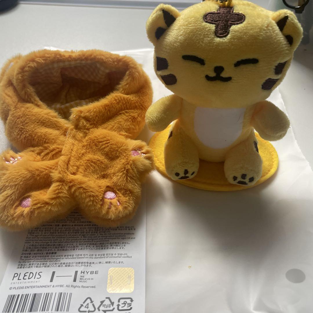 

[USED] SEVENTEEN HOSHI MINITEEN TAMTAM