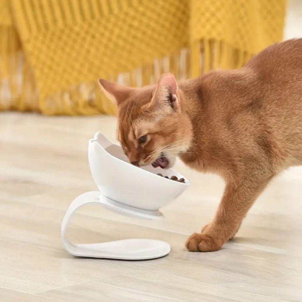 

Non-Slip Cat Single Double Bowls 15° Tilt Design Cats Feeder Feeding Bowl Puppy