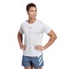 Adidas Men's Terrex Agravic Trail Running T-Shirt