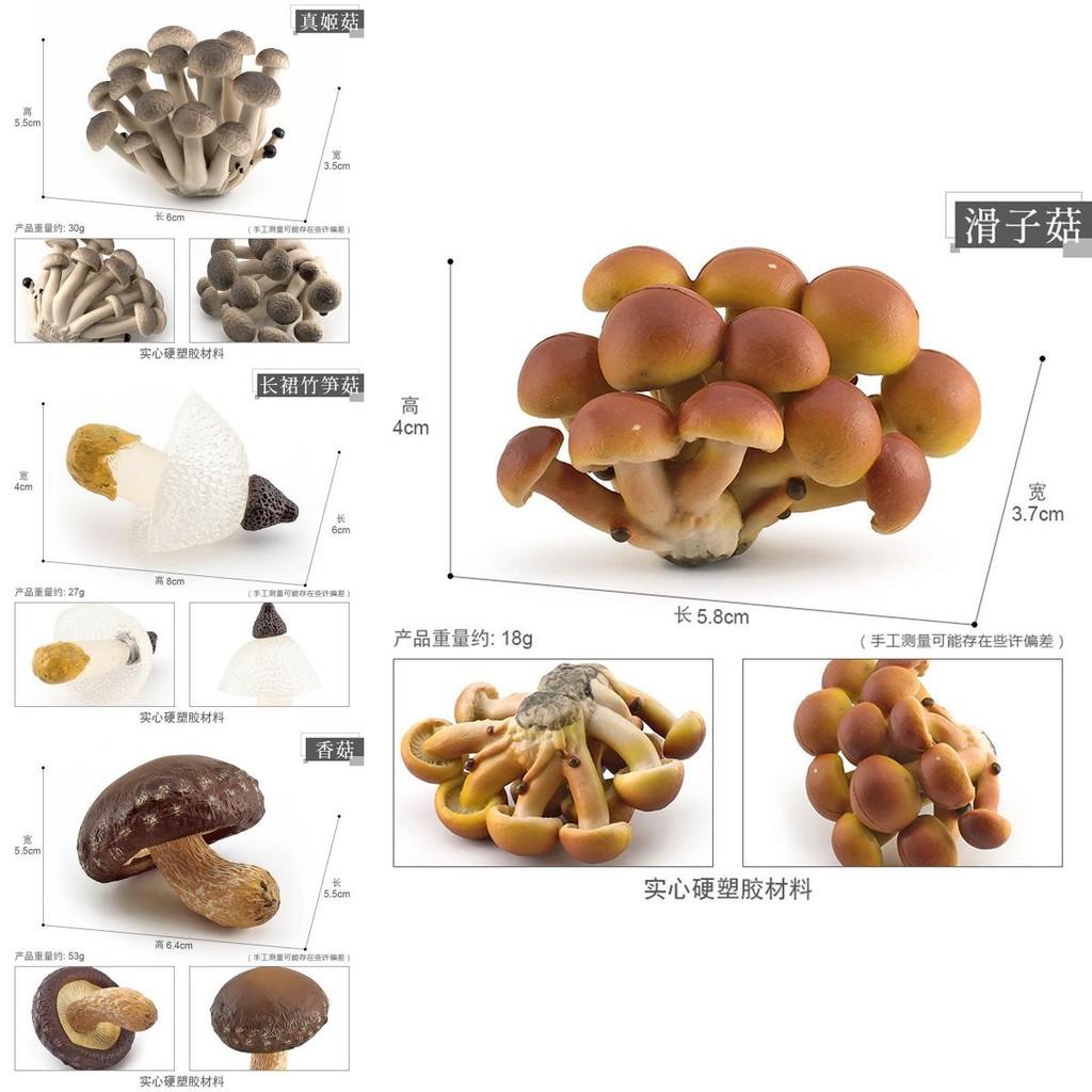 Realistic Mushroom Set Featuring Edible Shiitake Enoki Matsutake Poisonous Umbrella Decorative Models Ideal For Home Display