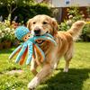 Plush Squeaky Dog Toy - Interactive Teething Toy for Boredom