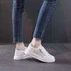 New Women's Shoes with Thick Soles, White Shoes, Women's Summer Versatile Board Shoes, Popular Mesh Breathable Shoes, Trendy