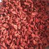 In Stock: Premium Bulk Goji Berries - Large Quantity Available