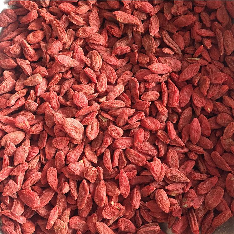 In Stock: Premium Bulk Goji Berries - Large Quantity Available