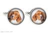 English Pointer I - cufflinks in a box, handmade jewelry, product of the Art-Dog brand