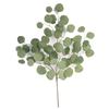 Wedding Bouquet Eucalyptus Leaf Vine Decoration Vase Artificial Eucalyptus  Photography Props
