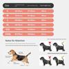 Sun Blocking Waterproof Dog Rain Coat Outdoor Walking Clothes For Small to Large Dog Beach Wear Rainy Days Adventure