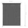 Outdoor Roller Blind 60 x 230 cm Anthracite