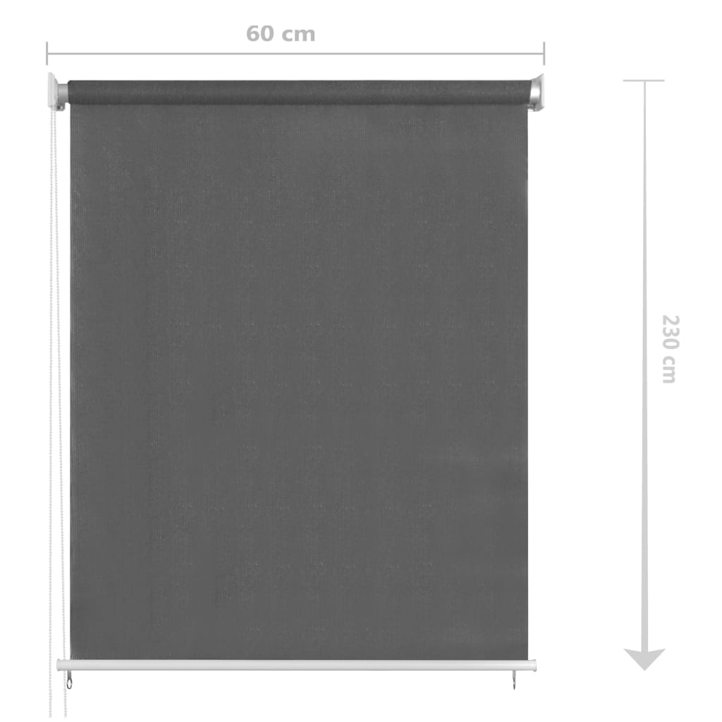 Outdoor Roller Blind 60 x 230 cm Anthracite