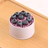 Fengzhi Round Tinplate Storage Box