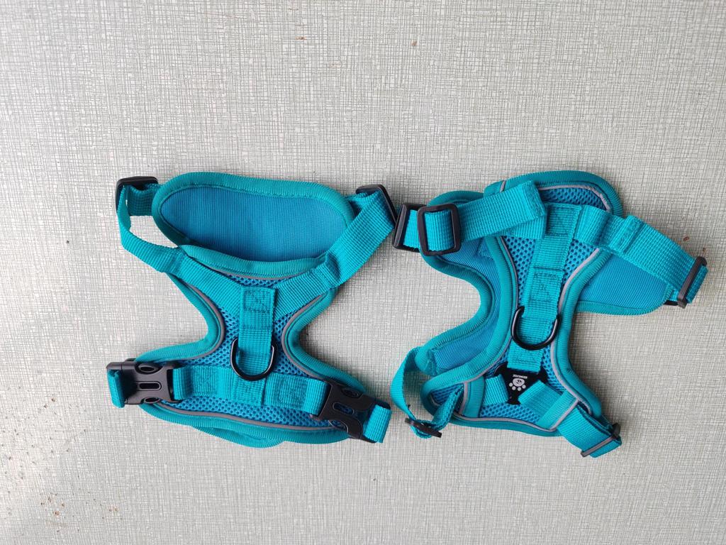 Reflective Vest-Style Cat Leash & Breathable Harness for Small/Medium Pets