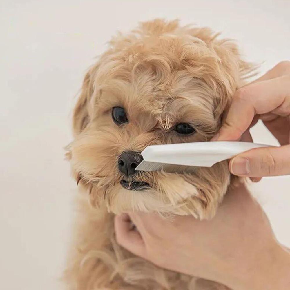 Katzenflohkamm Katzenzahnkamm Haustier In-Line Stahlkamm Für Hunde Läusekamm Zum Entfernen von Flöhen