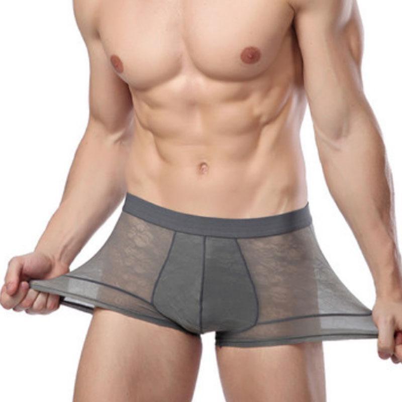Men's Breathable Transparent Boxer Briefs Sexy Underwear Panties Briefs