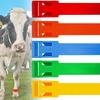 Cattle Hoof Ring 5/10/20 Pcs Identity Recognition Tool Farm Animals Cow Anklet Adjustable Wordless Horse Lvestock Marking Tools