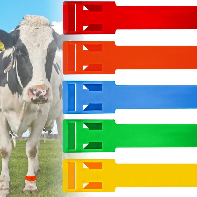 Cattle Hoof Ring 5/10/20 Pcs Identity Recognition Tool Farm Animals Cow Anklet Adjustable Wordless Horse Lvestock Marking Tools