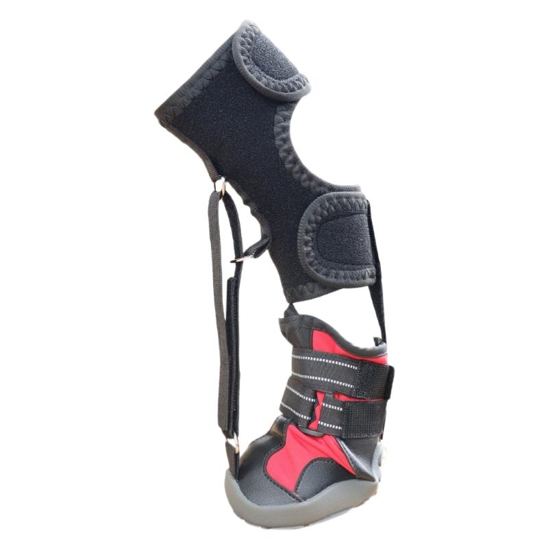 Drop Foot Brace with Reel(No Knuckling Boot Brace) for Dog Corrective Dog Shoes to Safely Lift Toes for foot Issue