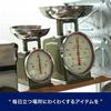 Dalton Diet Scale, 500g, Sax 100-126, Body: Steel, Pan: Stainless Steel, Made In China, BSK8605