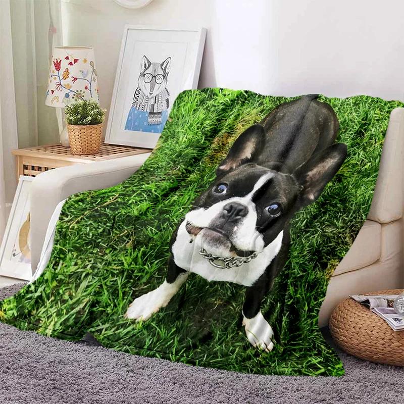 Boston Terrier Dog Pug Cartoon Blanket Super Soft Flannel Throw Blanket for Bedroom Couch Sofa Gift for Boy Girl King Queen Size