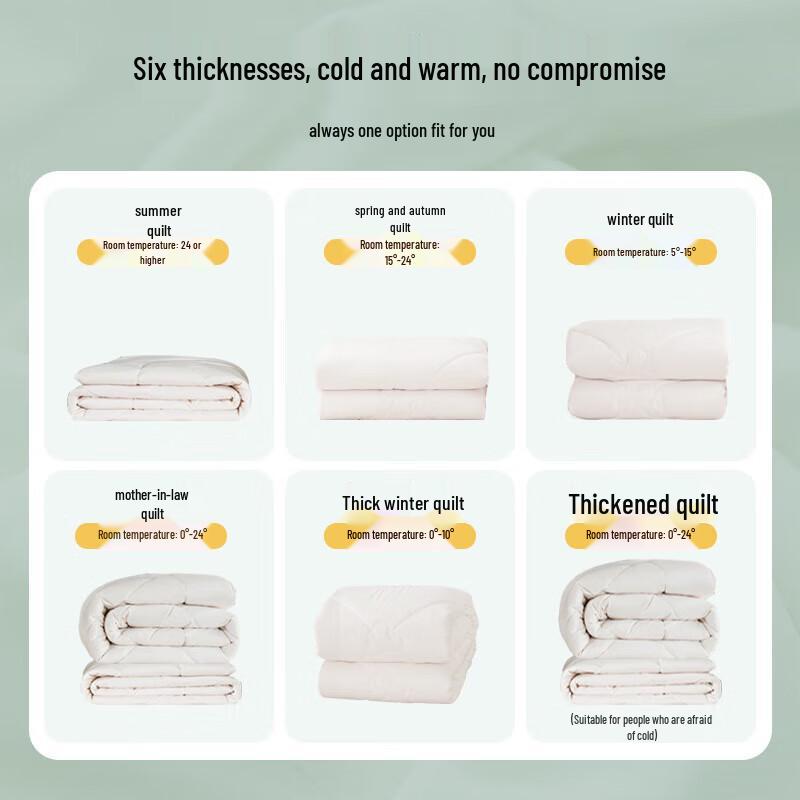 Dohia Yan Meng Class A Antibacterial Winter Duvet