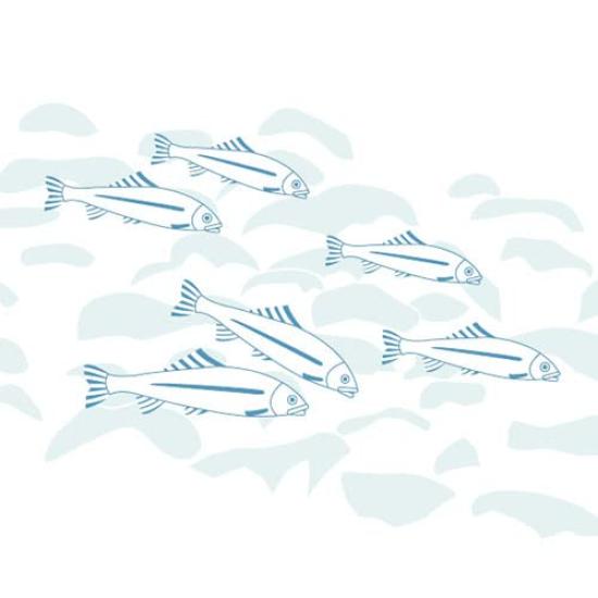 Dyeing Anbo Hand Towel River Authentic Dyed Cotton Tokuoka Made in Japan 35cm x 100cm "Ayu Blue" 100%