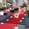 Accesorii de petrecere – Accesorii pentru ceremonii și petreceri