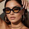 Fashion Cat Eye Sunglasses Women  Ins Popular Vintage Punk Oval Sun Glasses Female Trending Shades Multicolour Eyewear UV400
