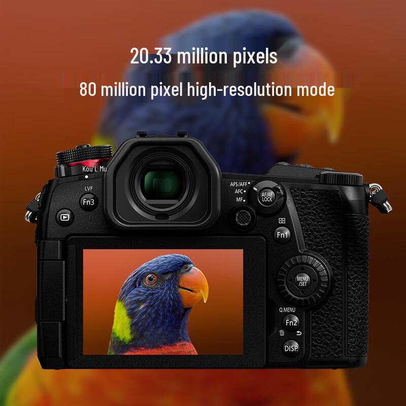 

Panasonic Lumix G9 Mirrorless Camera with 12-60mm Lens Kit (CN version)