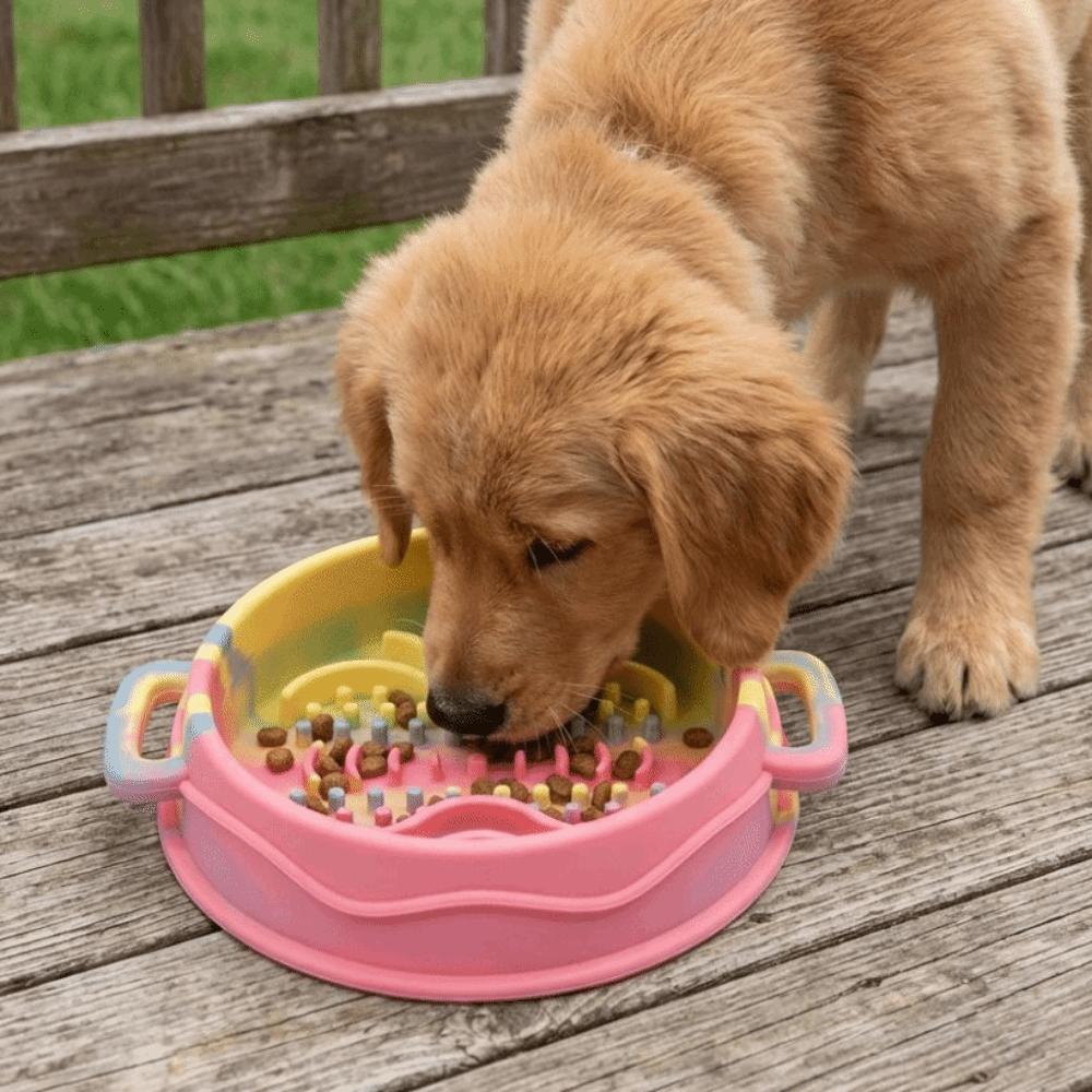 Silicone Anti-Choke Bowl Dual Handles Dog Treat Bowl Colorful Dog Slow Feeder Bowl  Pet Enrichment