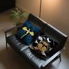 Book Dragon Cool Art F-Fourth W-Wing Cushion Cover Soft Pillow Case For Sofa Living Room Home Office Decor Protective Covers