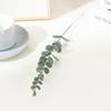 Globulus Leaf Eucalyptus Simulation Green Plant Decoration Arrangement Flower