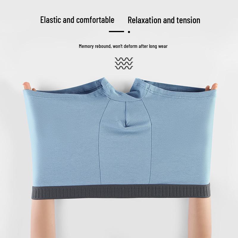 Men's Summer Antibacterial Ice Silk Seamless Boxer Briefs - Breathable, Ultra-Thin, Solid Color, Plus Size