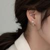 Asymmetrical Eight-point Star Earrings Niche Design High-end and Exquisite Versatile Earrings for Women