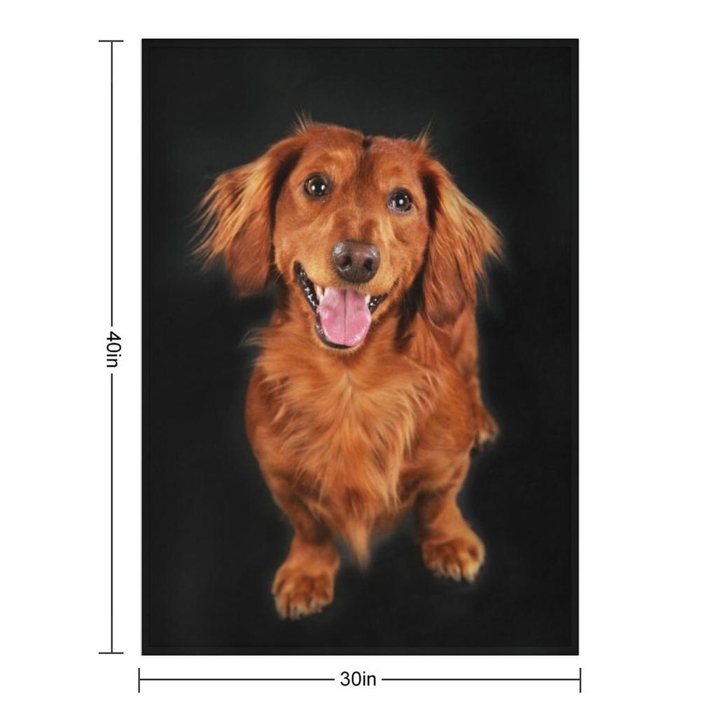 Dachshund Long Hair, Dachshund Looks Funny Throw Blanket Camping Luxury Thicken Sofa Bed Blankets Sofas Of Decoration Blankets