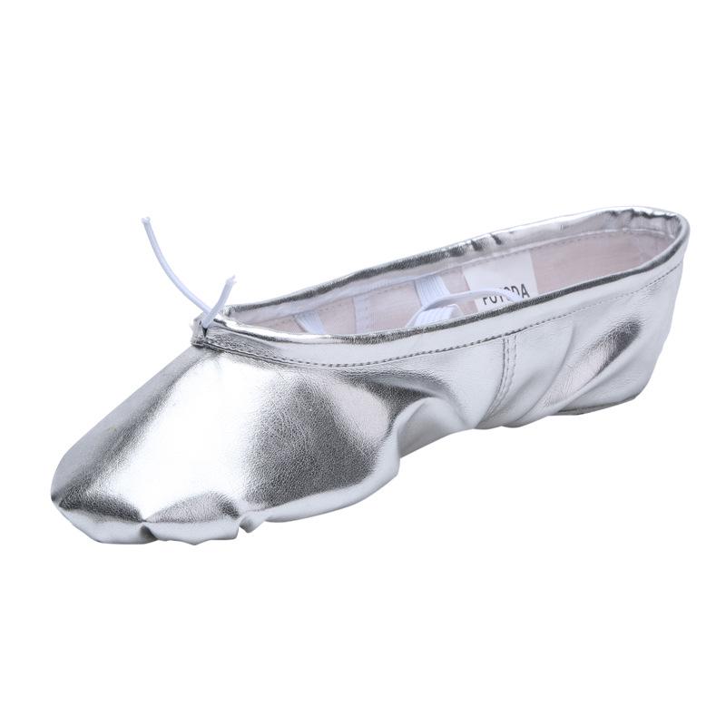 Women's Soft Sole Ballet & Dance Shoes - Gold/Silver, Cat Paw Design